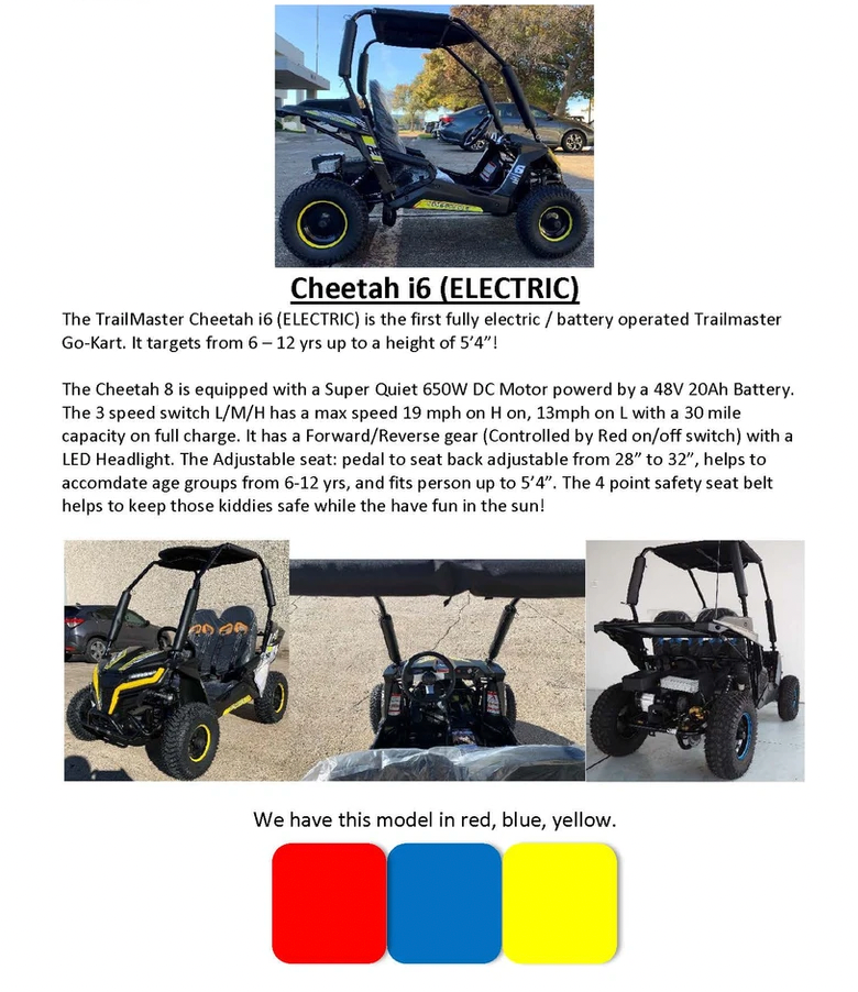 TrailMaster Cheetah i6