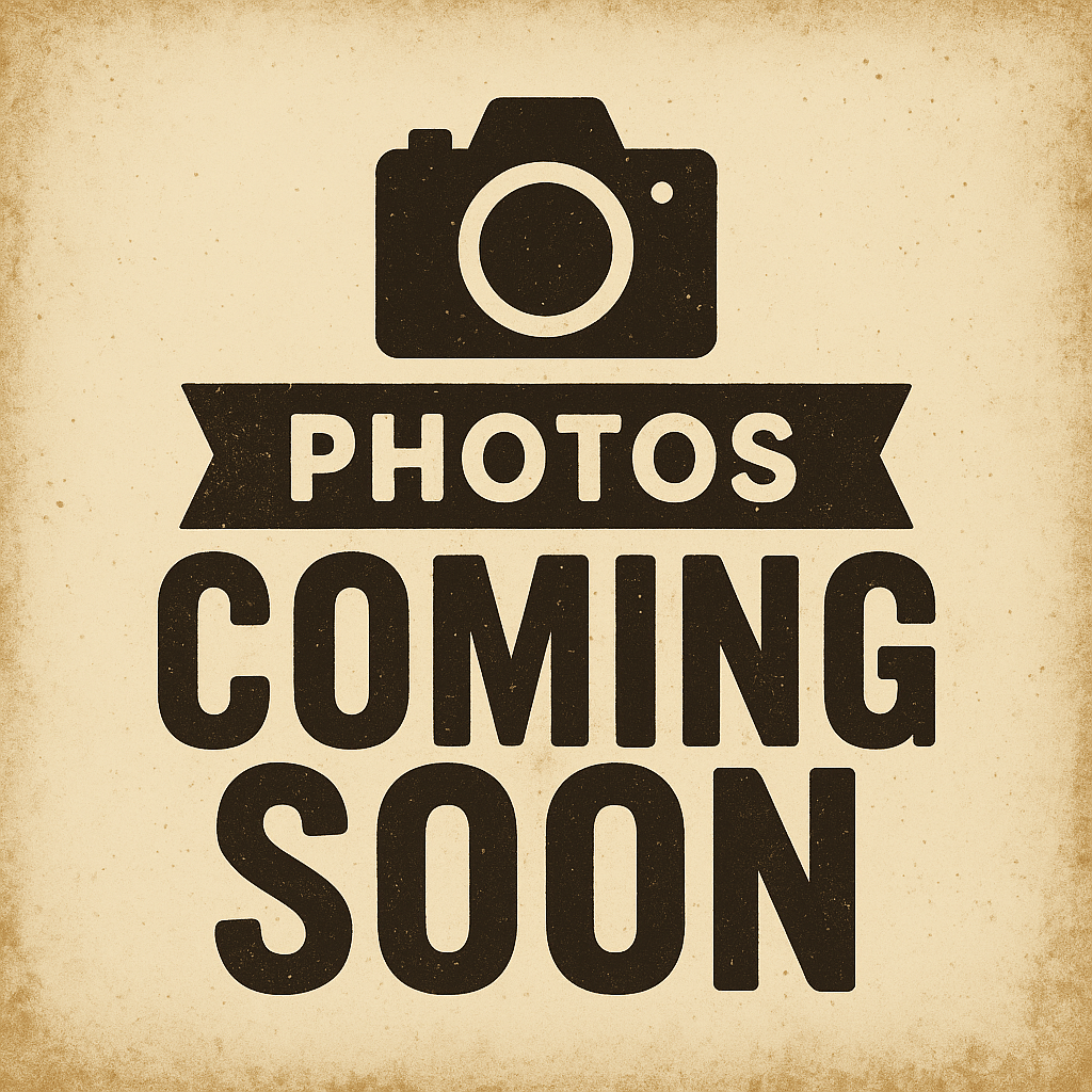 2021 Harley Davidson Sportster 883