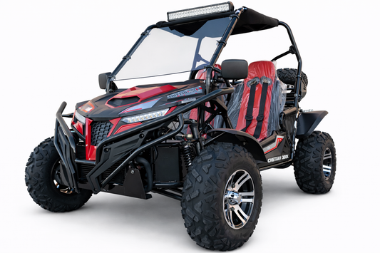 TrailMaster Cheetah 300EX