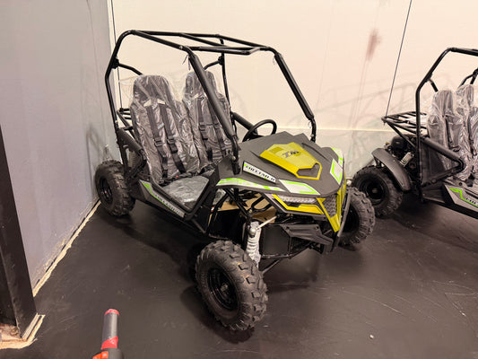 2025 TrailMaster Cheetah 8 Gold