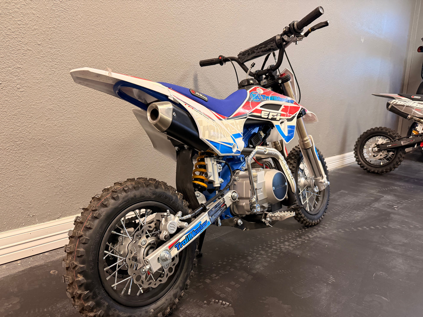 2025 Trailmaster SK110s Red and Blue