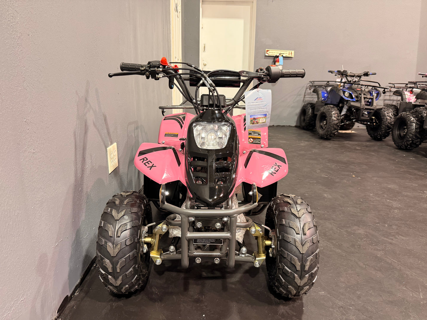 2025 DLX 110cc Youth ATV  Pink