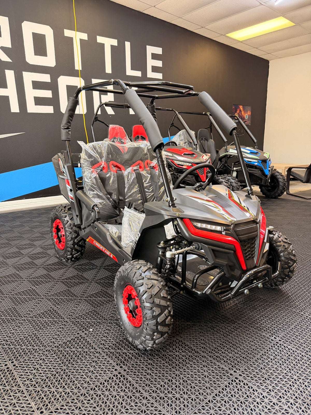 TM Cheetah 6 Red