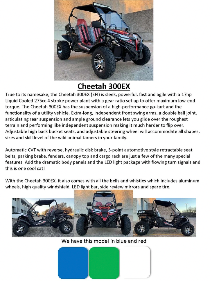 TrailMaster Cheetah 300EX